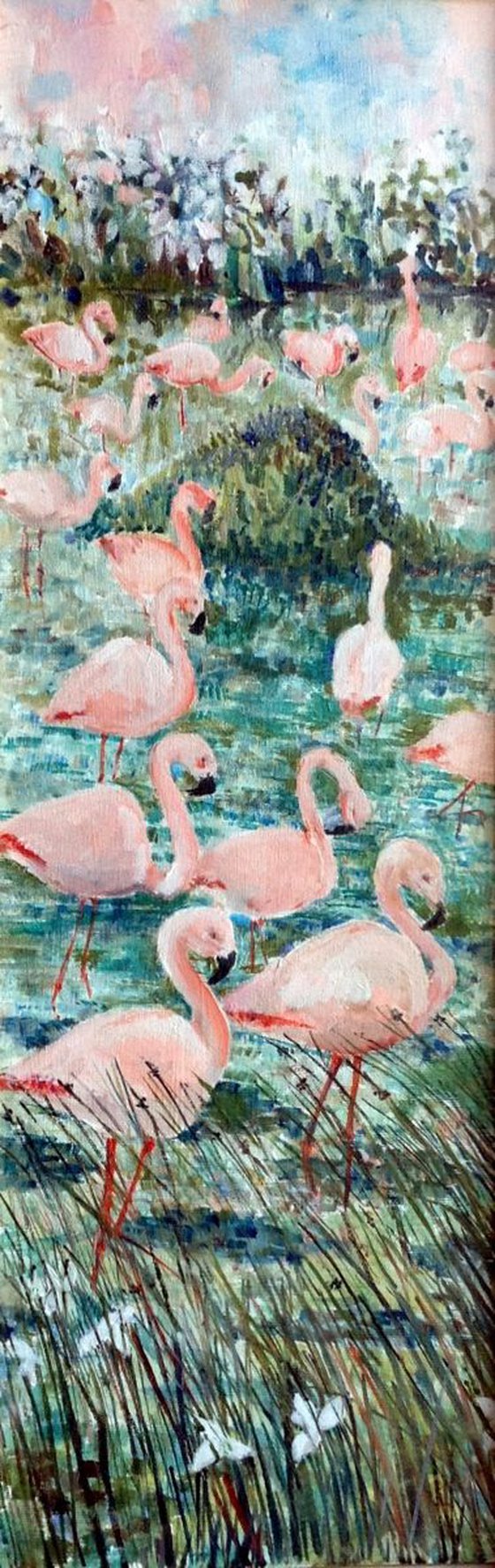Tall Flamingos