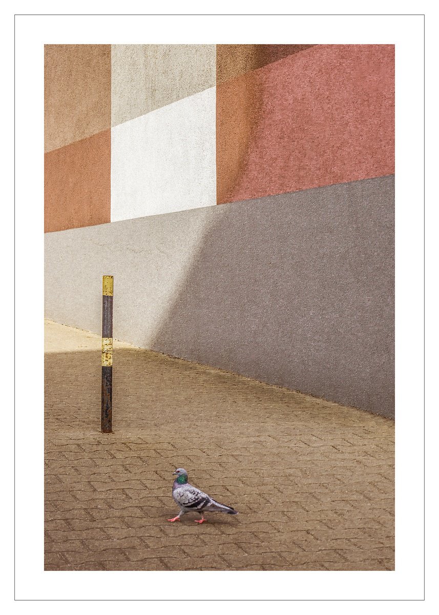 Geometric Animal Photograph By Beata Podwysocka, 12 X 18, Wallscape 204, Original Artwork