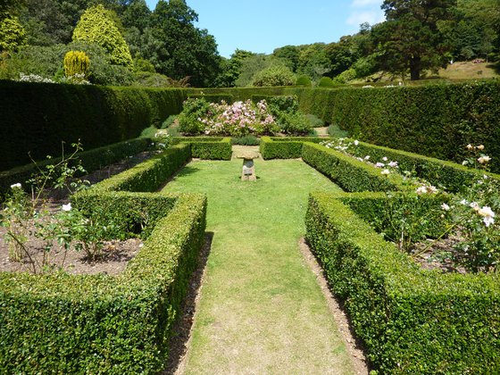 A formal garden