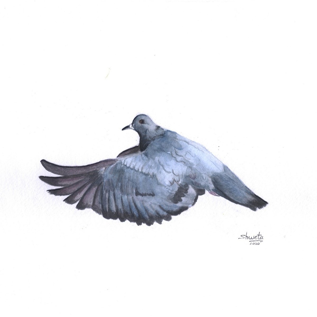 Shweta Mahajan | Original  Watercolour | Airborne Diptych | 20 X 20Cm | Artwork For Sale On Artfinder