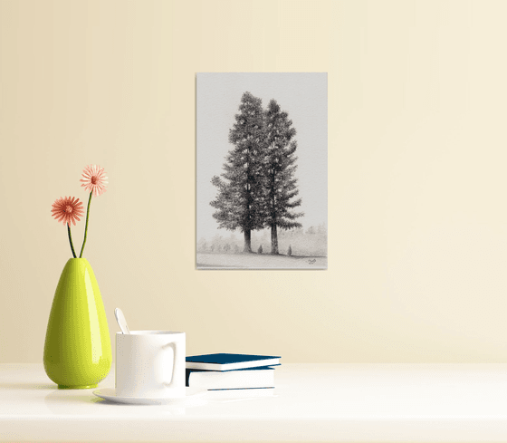 Pine trees Pencil Drawing