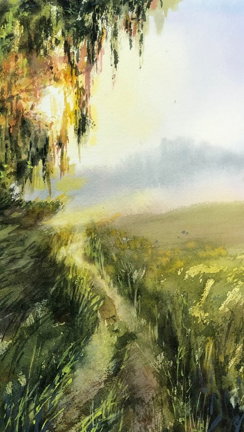 Morning sunlight by Alina Karpova