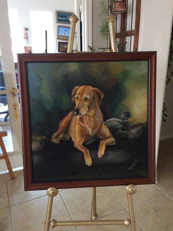 Realistic Original Oil Painting Hunting Labrador 24x24 framed