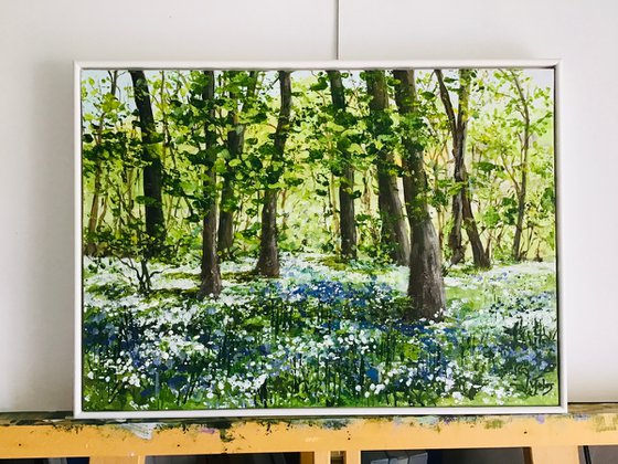 Wild Garlic and Bluebell Woods