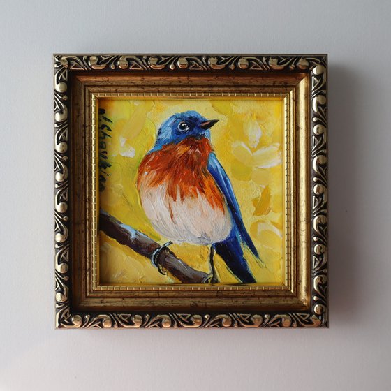 Bluebird and Yellow Light