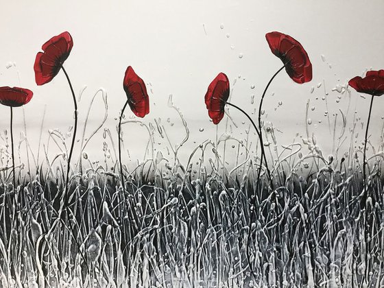 Shlomo Iced Poppies commission