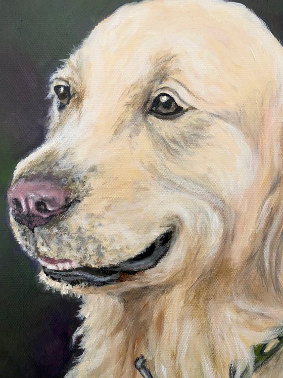 Smiling dog