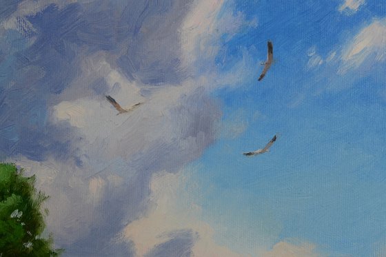 Landscape with birds