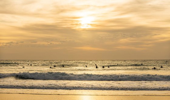 GOLDEN SURFERS