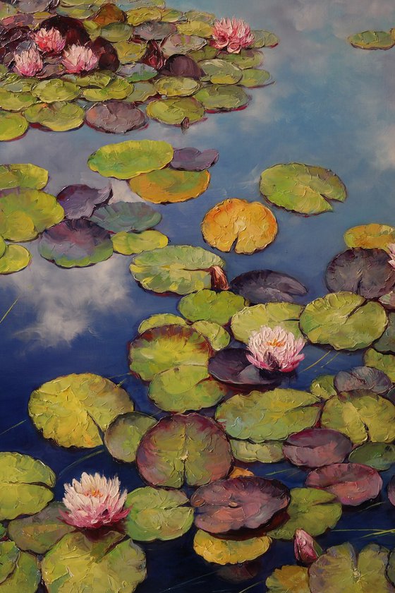 "Waterlilies in the Mirror of the Sky"