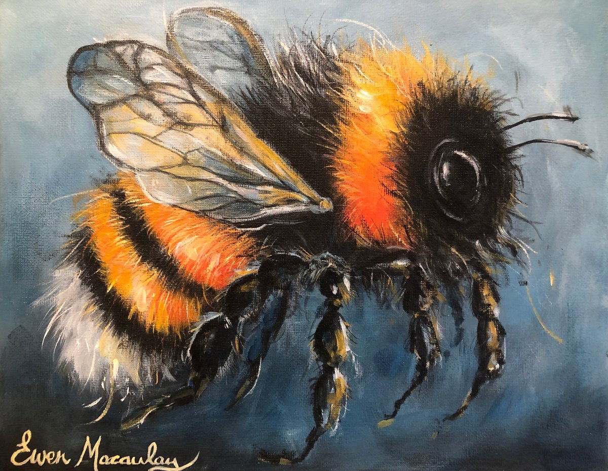 Bumble Bee by Ewen Macaulay