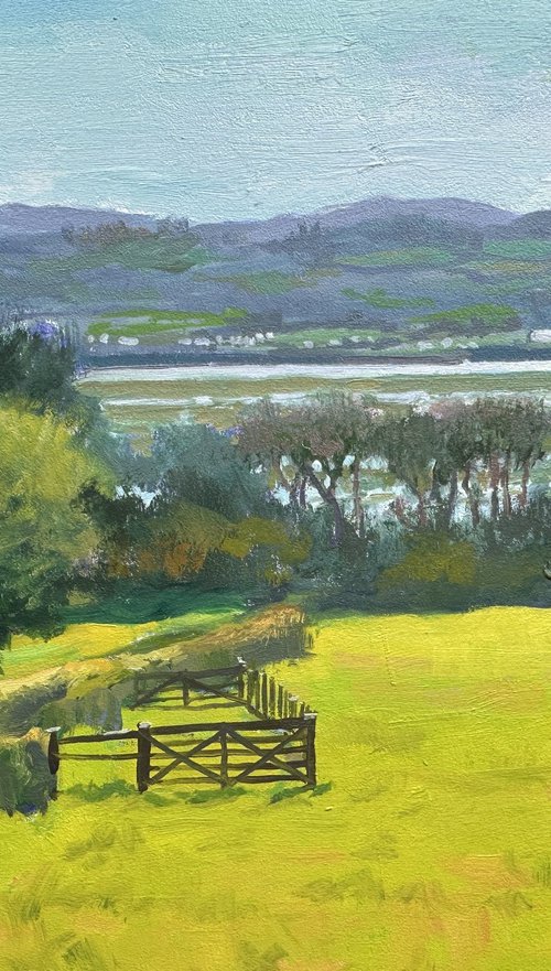 Dee Estuary by Toni Swiffen