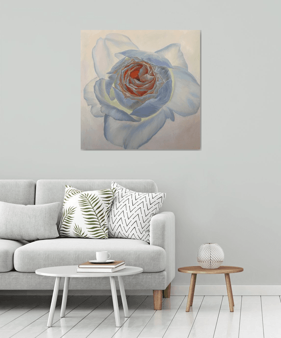 Portrait of rose