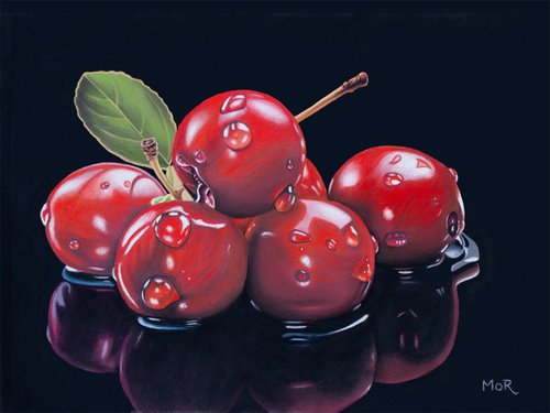 Wet Cranberries by Dietrich Moravec