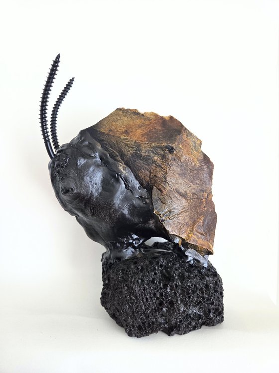 Amazing Bison
