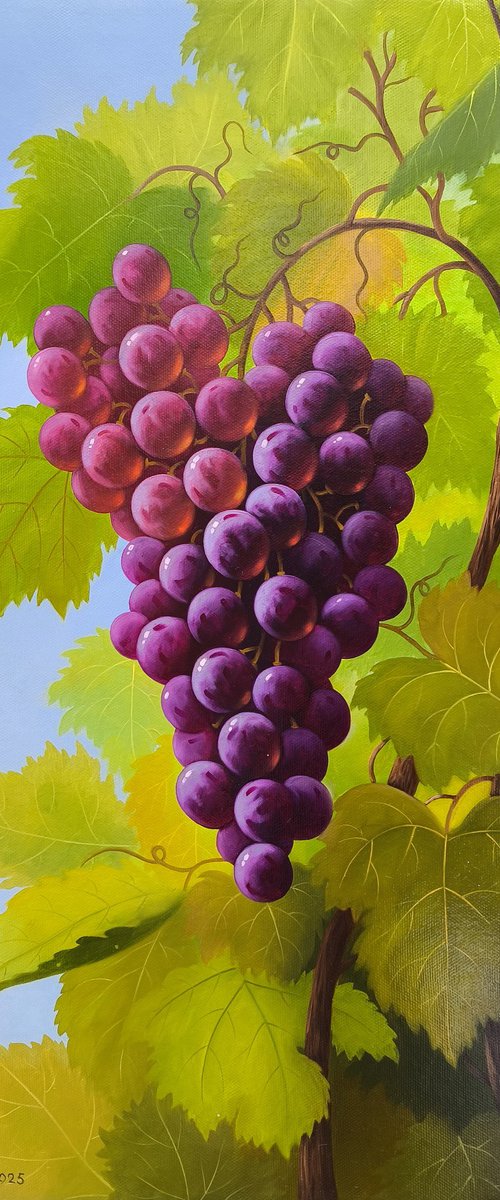Sunlit Grapes by Shahen Aleqsandryan
