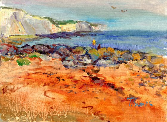 View from Rottingdean beach