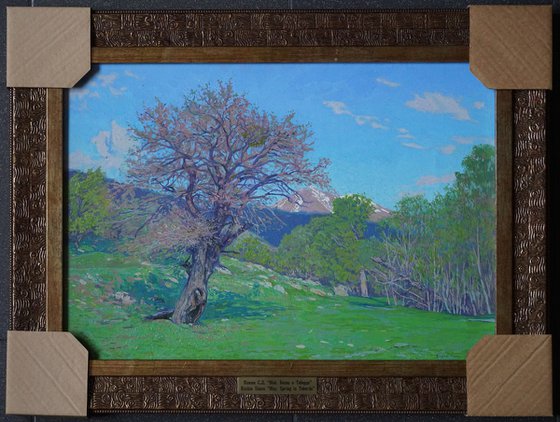 May. Spring in Teberda