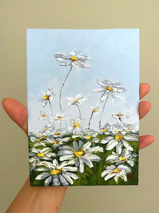 Delicate daisies