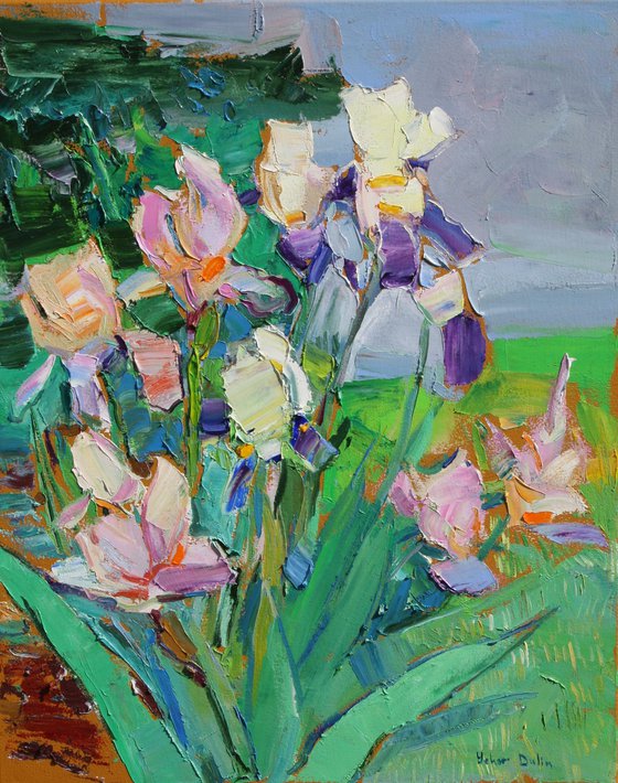 " Irises "