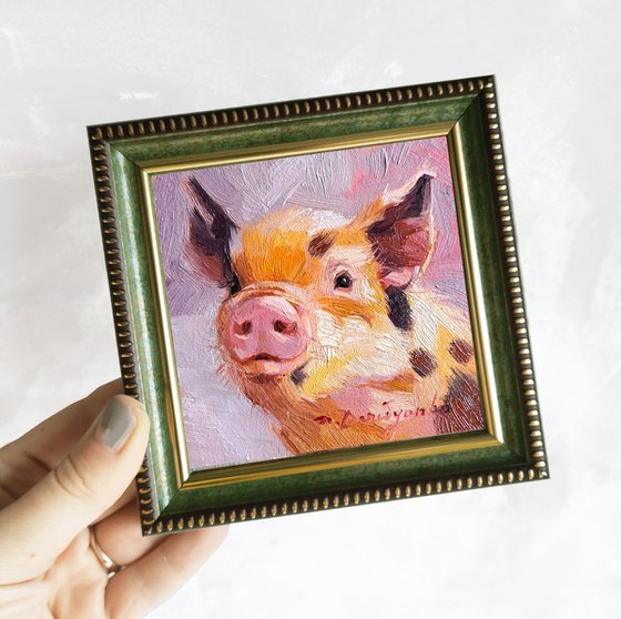 Pig portrait