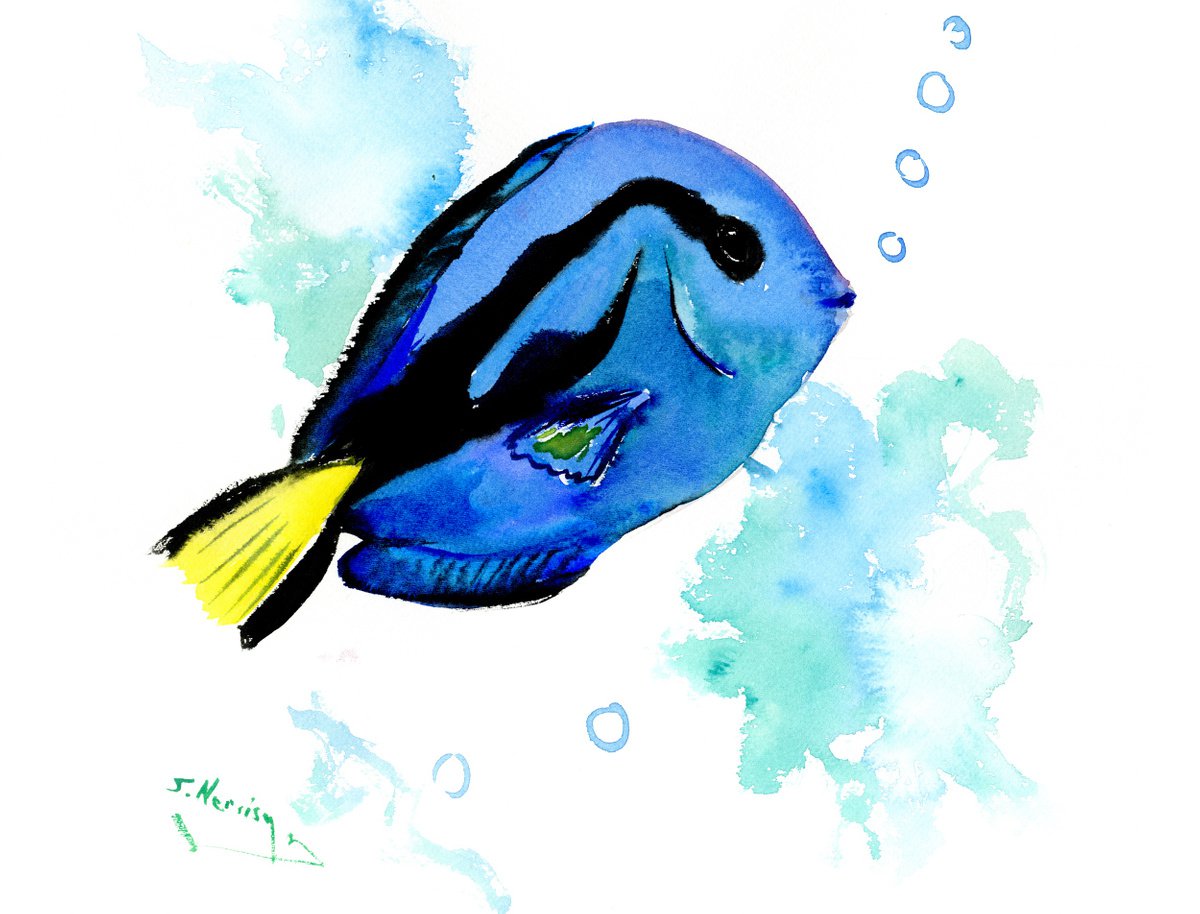 Blue Tang Fish by Suren Nersisyan