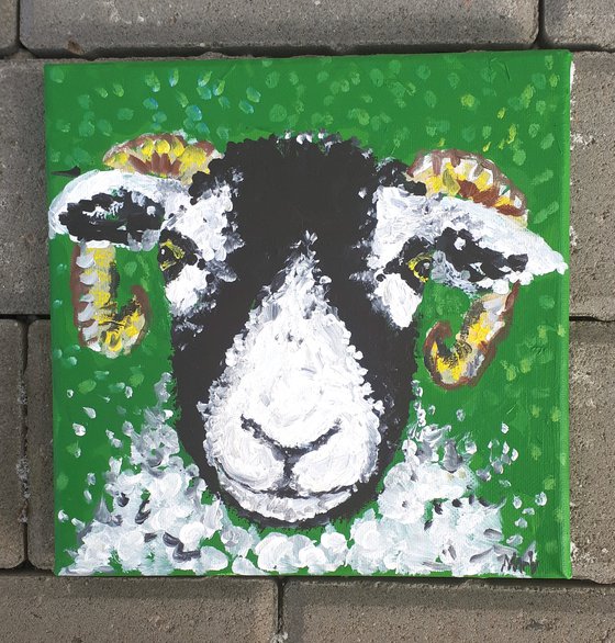 "Swaledale sheep I"