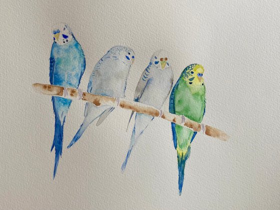 Sleepy Budgies Watercolour painting