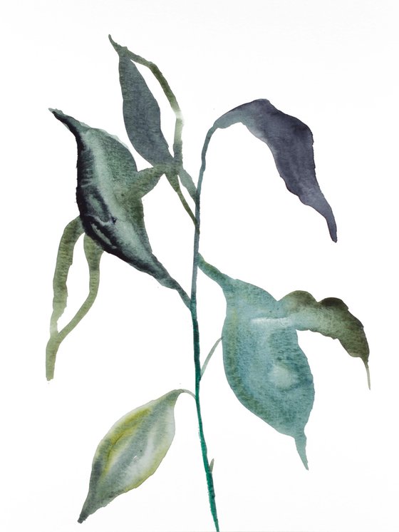 Plant Study No. 84