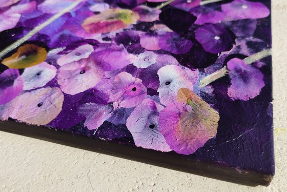 Violet Rhapsody