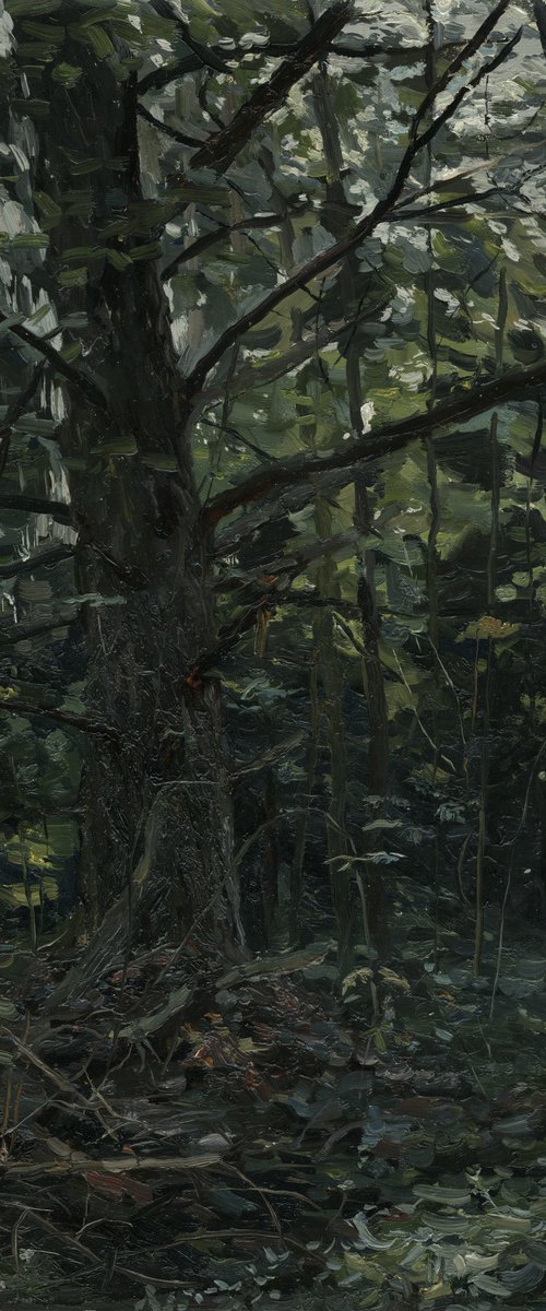 Forest. Fir-tree. Karmanovo by Simon Kozhin