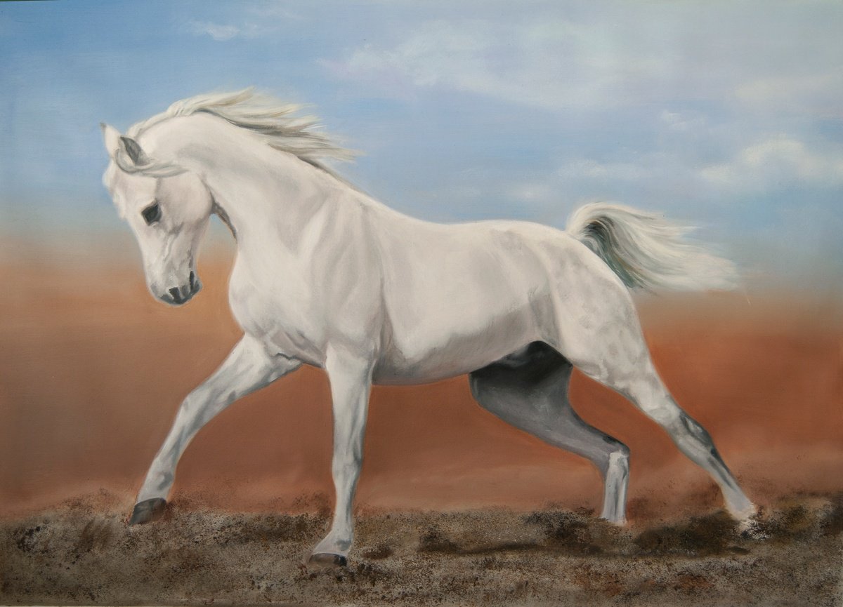 Photorealistic Oil Painting , White Horse By Simona Tsvetkova, 28 X 20, Artwork For Sale On Artfinder