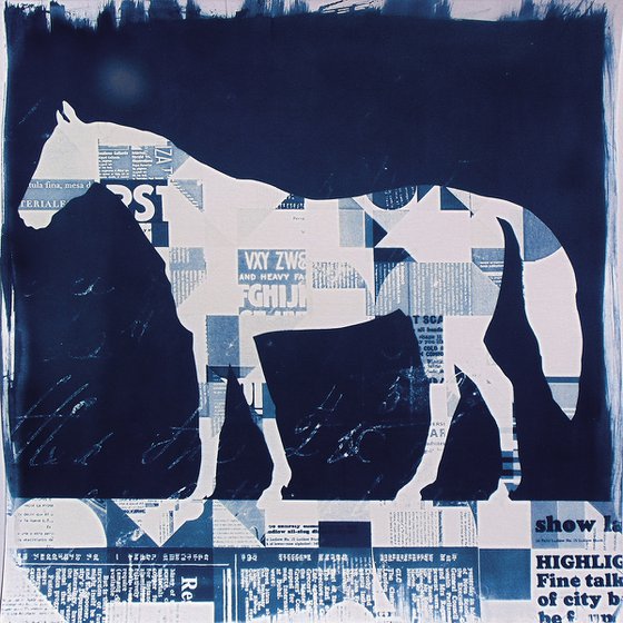 Cyanotype_04_45x45 cm_The horse