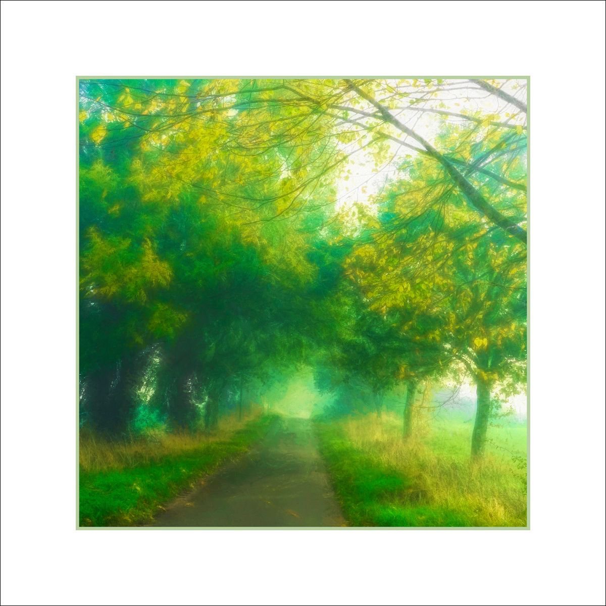 Misty Autumn road by Martin  Fry