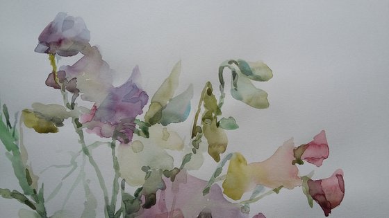 Bouquet of sweet peas. Original watercolour painting.