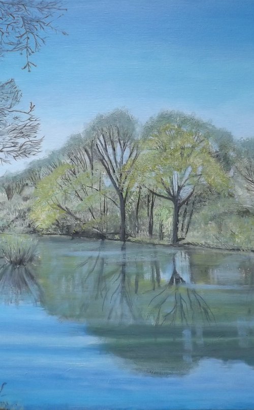 Quiet reflection by Lynne Harris