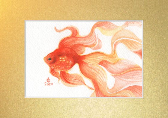 Goldfish 2