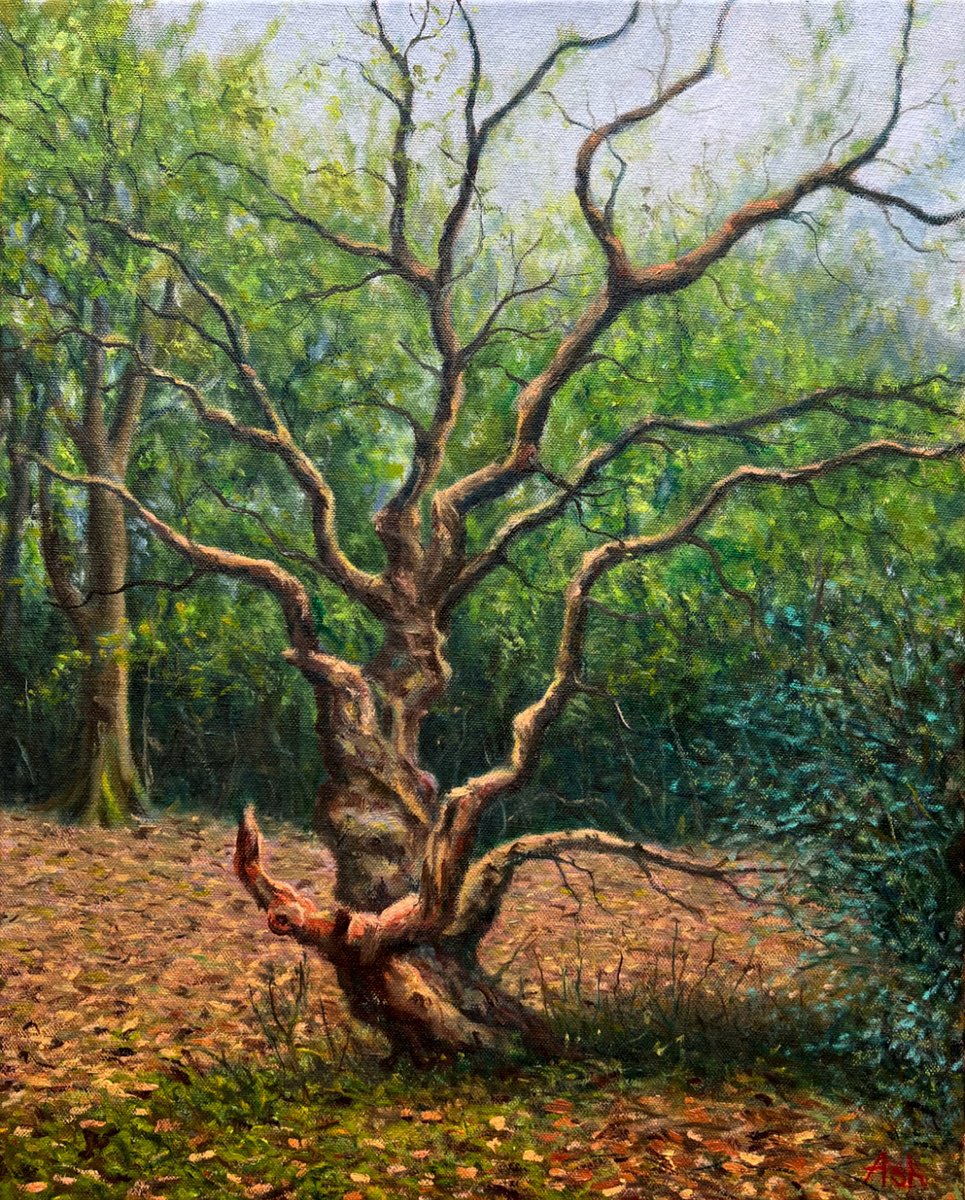 The Veteran Tree by Ashley Baldwin-Smith