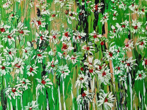 Daisies In The Grass