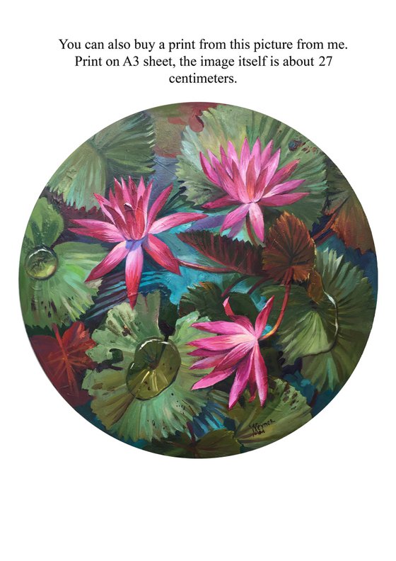 Pink lotuses. Painting of water lilies.