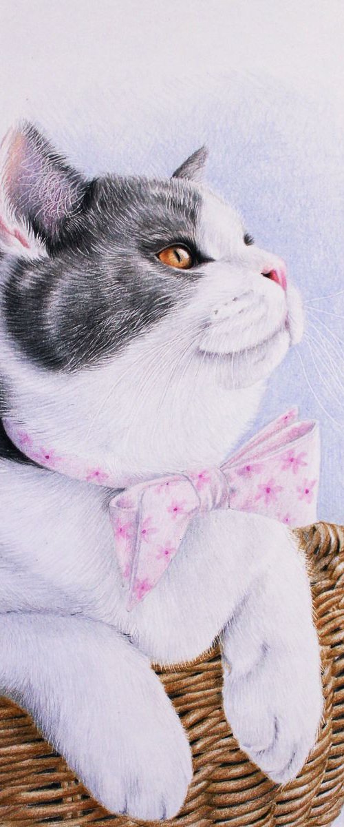 Portrait of a cat in a basket by Tatjana Bril