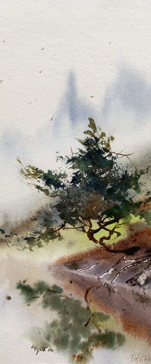 Pine at the lake by Eugenia Gorbacheva