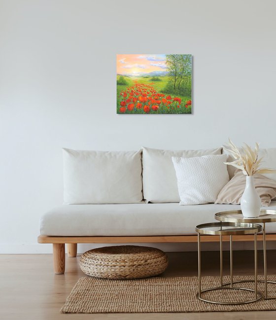 Poppy field by sunrise