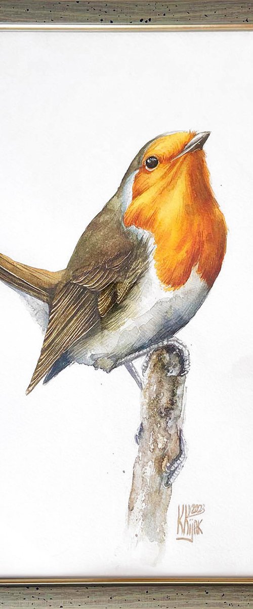 The Robin - Framed Winter's Gem by Karolina Kijak