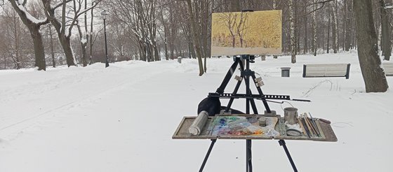 Maple Alley in January