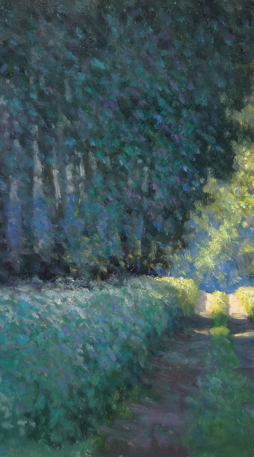 Chemin des Marins by Pascal Giroud