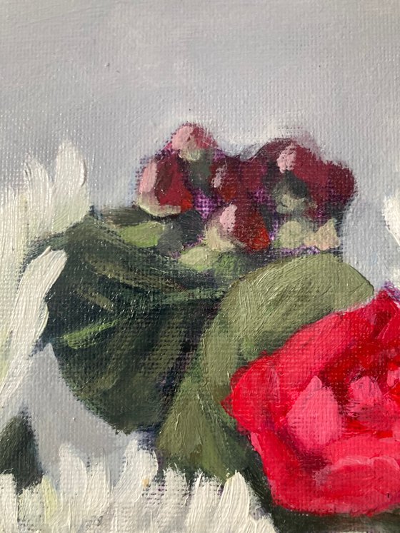 Reds and Whites