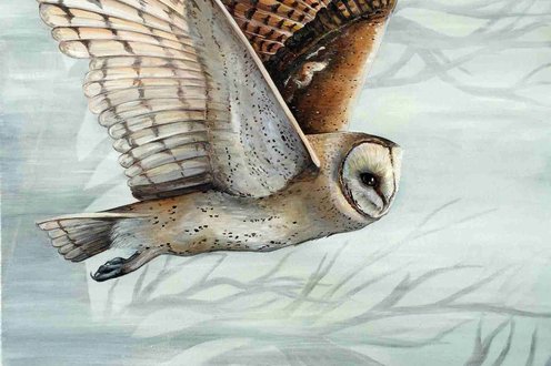 Cover image for Animal magnetism collection