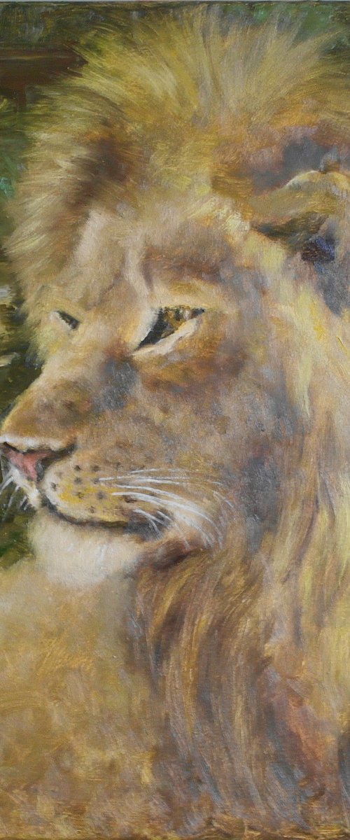 Lion the King by Juri Semjonov