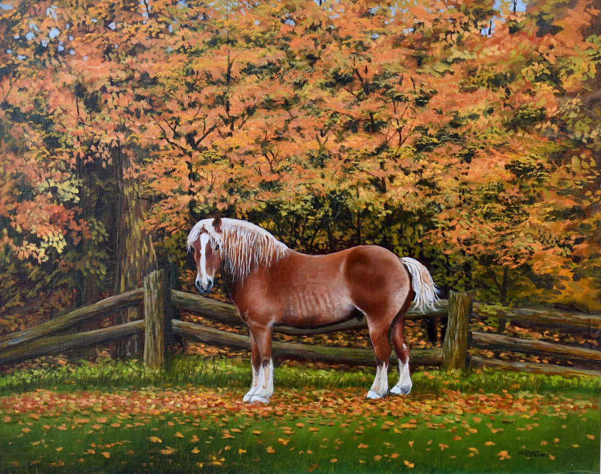 Draft Horse at La Sucrerie de la Montagne by Gilbert Lessard